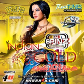 Indian Gold 01 by DJ Spinz