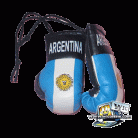 Argentina Boxing Gloves