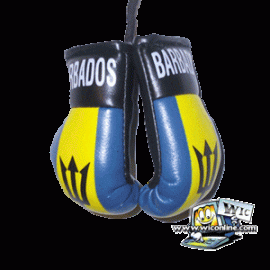 Barbados Mini Boxing Gloves