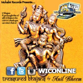 Treasured Bhajans by Anil Bheem