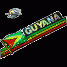 Guyana Bumper Sticker