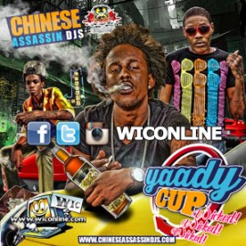 Yaady Cup Wicked Wicked Wicked - Chinese Assassin