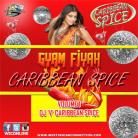 Gyam Fiyah by Caribbean Spice