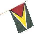 Guyana Large Stick Flag