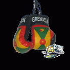 Grenada Mini Boxing Gloves