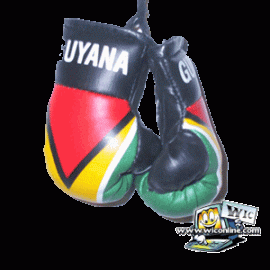 Guyana Boxing Gloves