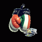 Italy Boxing Gloves