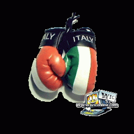Italy Boxing Gloves