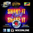 Shake It Baby Shake It 2020 by Double Impact Sound Crew