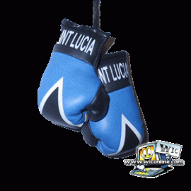 St. Lucia Medium Boxing Gloves
