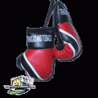 Trinidad Boxing Gloves