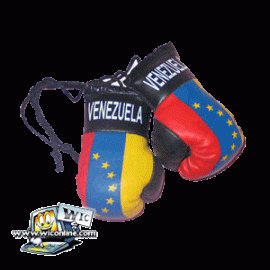 Venezuela Boxing Gloves