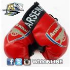 Arsenal Boxing Gloves