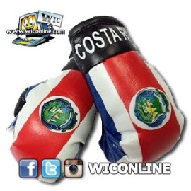 Costa Rica Mini Boxing Gloves