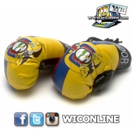 Ecuador Boxing Gloves