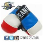 France Boxing Gloves