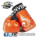 Holland (Netherlands Team) Boxing Gloves