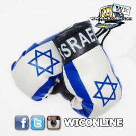 Israel boxing gloves