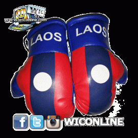 Laos Boxing Gloves