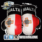 Malta Mini Boxing Gloves