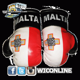 Malta Mini Boxing Gloves