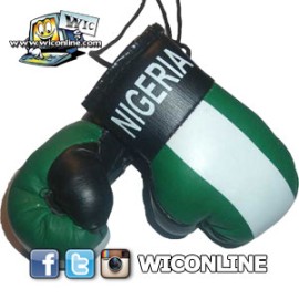 Nigeria Boxing Gloves