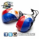 Philippines Boxing Gloves