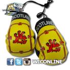 Scotland Lion Boxing Gloves