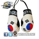 South Korea Mini Boxing Gloves