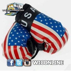 USA Boxing Gloves