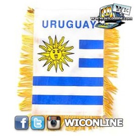 Uruguay Mini Banner